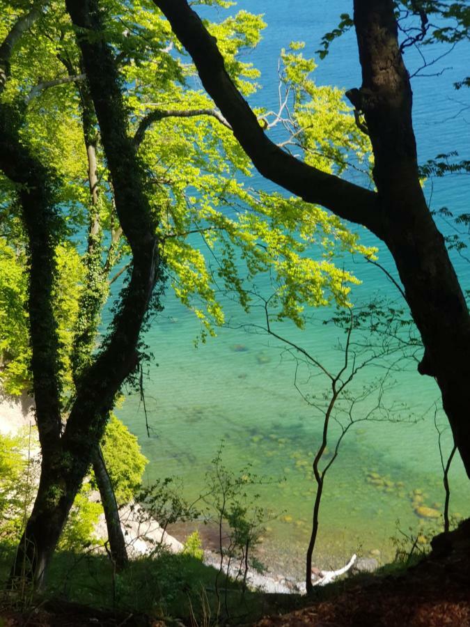 Villa Hubertus Am Nationalpark Sassnitz Esterno foto
